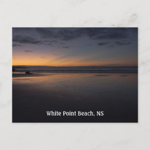Carte Postale Souris d'été de White Point