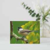 Carte Postale Souris en automne (Debout devant)