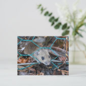 Carte Postale Souris en bois (Debout devant)