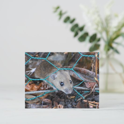 Carte Postale Souris en bois (Debout devant)