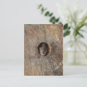 Carte Postale Souris en bois (Debout devant)