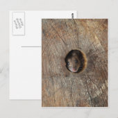 Carte Postale Souris en bois (Devant / Derrière)