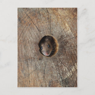 Carte Postale Souris en bois