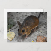 Carte Postale Souris en bois (Devant / Derrière)