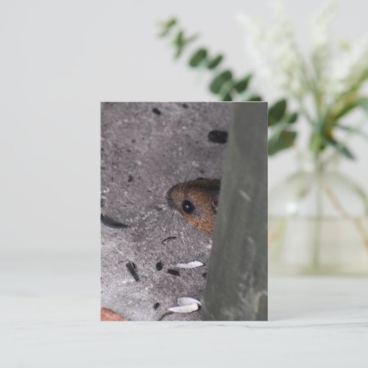 Carte Postale Souris en bois (Debout devant)
