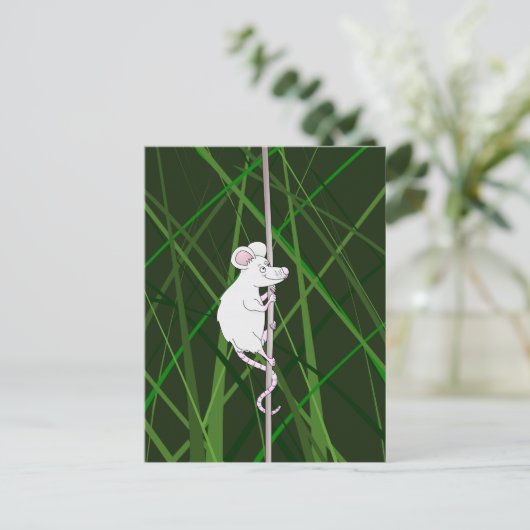 Carte Postale Souris gris dans l'herbe haute (Debout devant)