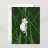 Carte Postale Souris gris dans l'herbe haute (Devant / Derrière)