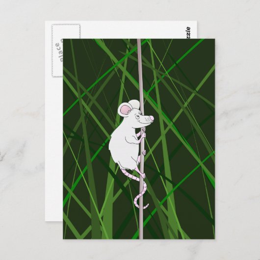 Carte Postale Souris gris dans l'herbe haute (Devant / Derrière)