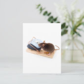 Carte Postale Souris intelligente (Debout devant)