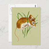Carte Postale Souris Mignonnes, Souris Aquarelle Animal Nature (Devant / Derrière)