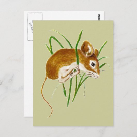 Carte Postale Souris Mignonnes, Souris Aquarelle Animal Nature (Devant / Derrière)