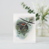Carte Postale Souris pointu perché sur Pinecone (Debout devant)