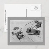 Carte Postale Souris sources sûres Mousetrap (Devant / Derrière)