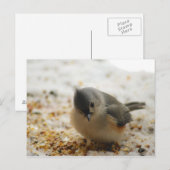 Carte Postale Souris Tufted adorable (Devant / Derrière)