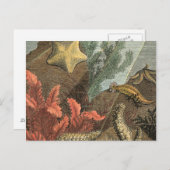 Carte Postale Sous la mer (Devant / Derrière)