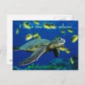 Carte Postale Sous la mer - Tortue de mer (Devant / Derrière)