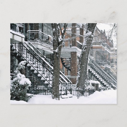 Carte Postale Sous la neijge (Devant)