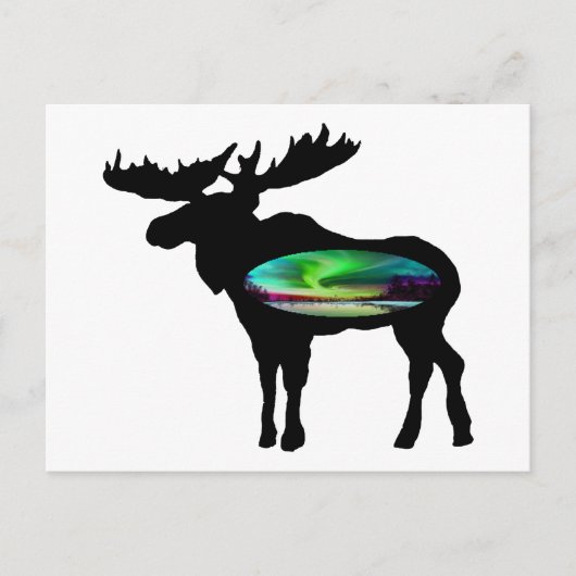 CARTE POSTALE SOUS L'AURORA (Devant)