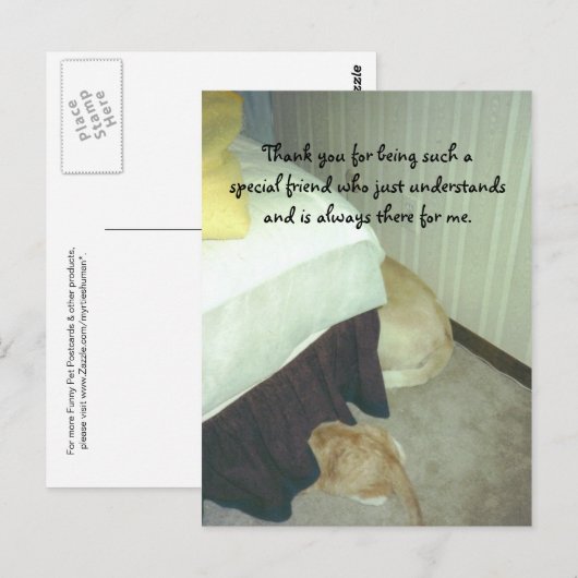 Carte Postale Sous le lit (Devant / Derrière)