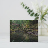 Carte Postale Sous le pont (Debout devant)