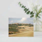 Carte Postale Sous le soleil toscan (Debout devant)