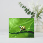 Carte Postale SOUS LE TEMPS (mignon escargot) ! (Debout devant)