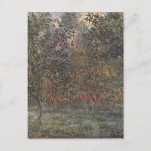 Carte Postale Sous les citronniers