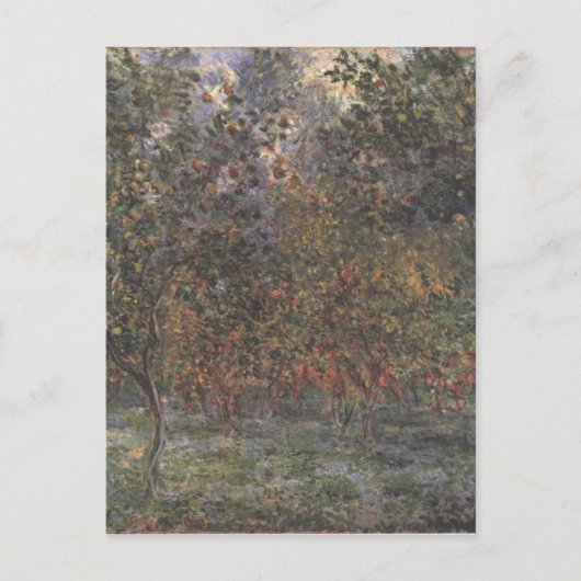 Carte Postale Sous les citronniers (Devant)