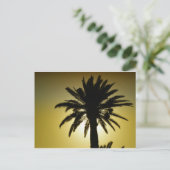 Carte Postale Sous les palmiers (Debout devant)