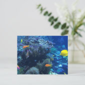 Carte Postale Sous L'Océan Eau Monde Et Été (Debout devant)