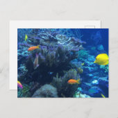 Carte Postale Sous L'Océan Eau Monde Et Été (Devant / Derrière)