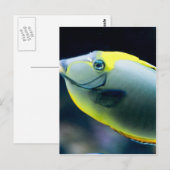 Carte Postale Sous-marin (Devant / Derrière)