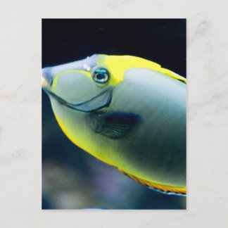 Carte Postale Sous-marin