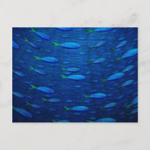 Carte Postale Sous-marin 4