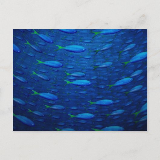 Carte Postale Sous-marin 4 (Devant)