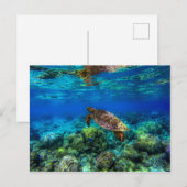 Carte Postale Sous-marin Tropical Sea Turtle Coral (Devant / Derrière)