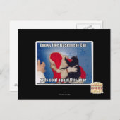 Carte Postale Sous-sol Chat obtient du charbon (Devant / Derrière)