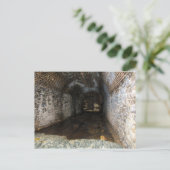 CARTE POSTALE SOUS-SOL LOWELL (Debout devant)