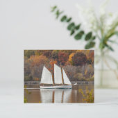 Carte Postale Sous voilier (Debout devant)