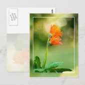 Carte Postale Soutenez-vous (Devant / Derrière)