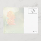 Carte Postale Soutenez-vous (Dos)