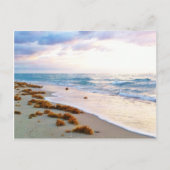 Carte Postale South Beach Miami (Devant)