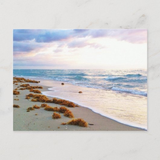 Carte Postale South Beach Miami (Devant)