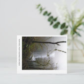 Carte Postale South Falls (Debout devant)