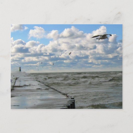 Carte postale South Haven Pier (Devant)