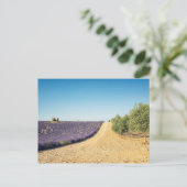 Carte Postale South of France (Debout devant)