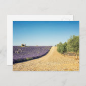 Carte Postale South of France (Devant / Derrière)