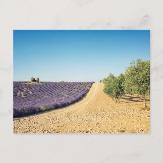 Carte Postale South of France (Devant)