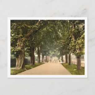 Carte Postale South Walk, Dorchester, Dorset, Angleterre