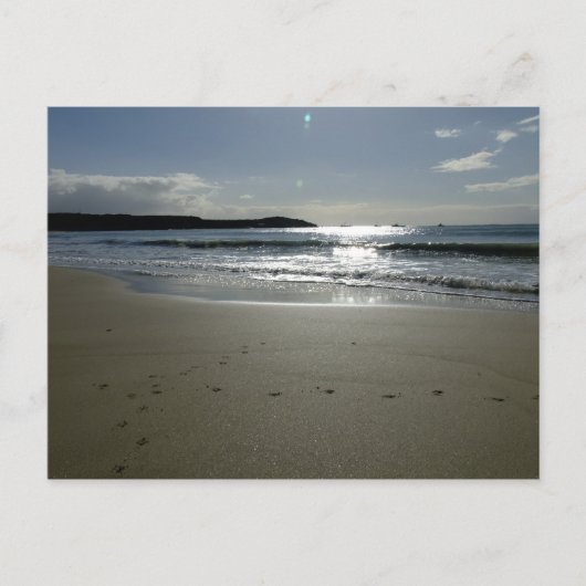 Carte Postale Southend Sparkle (Devant)